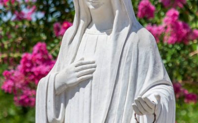 MENSAGEM DE NOSSA SENHORA RAINHA DA PAZ, DE 25 DE AGOSTO DE 2019
